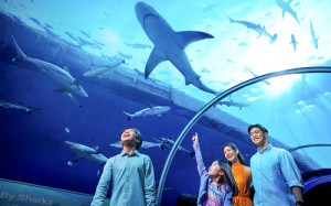ẢNH: Resort World Sentosa
