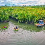 Bay,Mau,Water,Coconut,Forest,,Hoi,An,,Quang,Nam,Province,