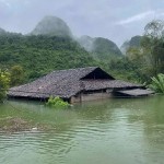 Ảnh chụp tại Cao Bằng, do Viện Quản lý và Phát triển Châu Á (AMDI) cung cấp.