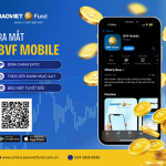 Nền tảng tích hợp định danh điện tử eKYC, giao dịch và quản lý danh mục 24/7, mang đến giải pháp đầu tư an toàn và tiện lợi cho nhà đầu tư