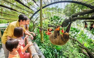 Nhiều bạn nhỏ thích thú khi được trực tiếp khám phá về thế giới động vật hoang dã tại Singapore Zoo (Nguồn: Singapore Zoo)