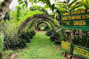 Đường hầm là điểm dừng quen thuộc của nhiều dân địa phương trên tuyến trekking từ  Clementi Forest đến Sungei Ulu Pandan. (Ảnh: SmartLocal)